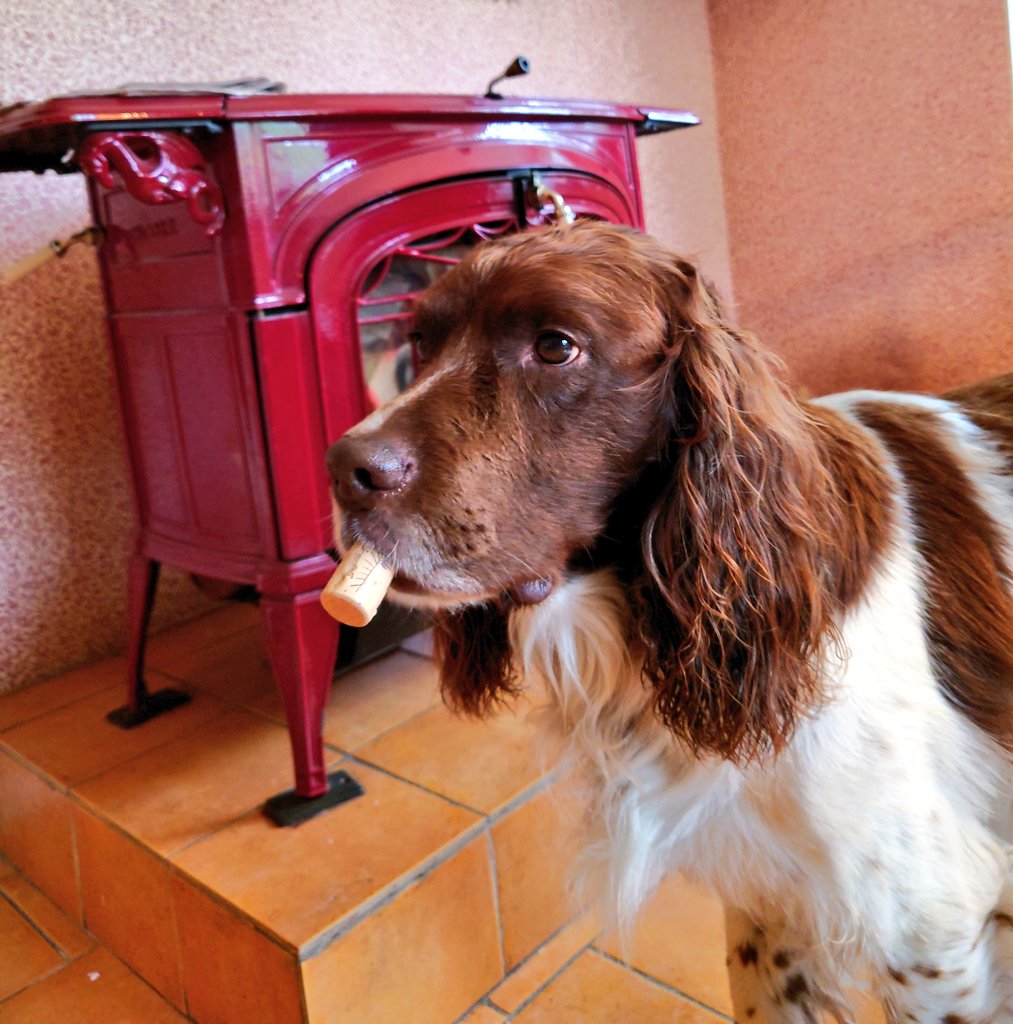 @SAOCousins.bsky.social tweet media