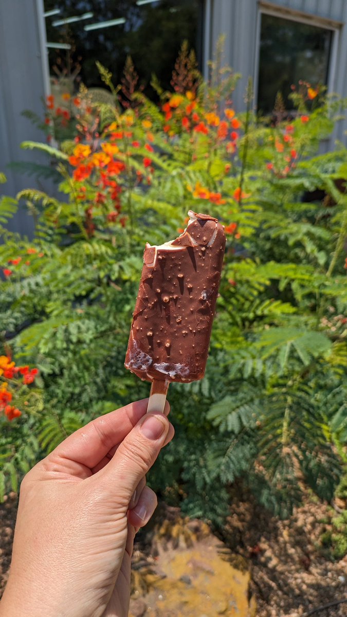 Happy Birthday, Ion Art! We celebrated with melty grilled cheese on the hottest day!! 🥳🥪🧀🍦