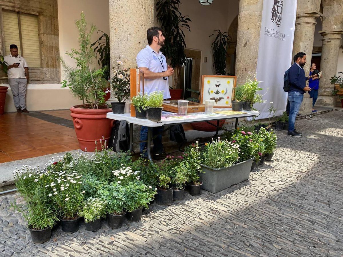 Bosques Urbanos tweet media