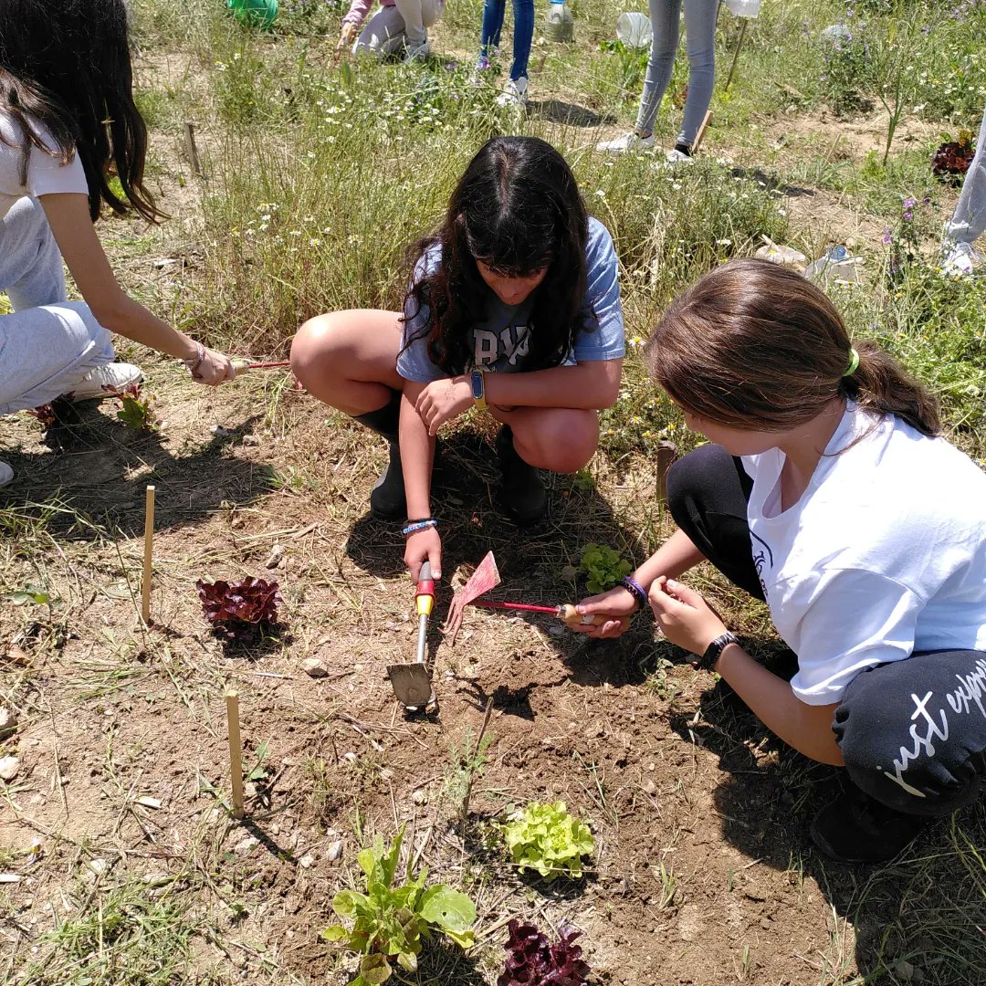 Aquest curs els alumnes de 1r d'ESO hem treballat de valent a l'hort! 
Hem après el procés tecnològic de l'hort ecològic (preparar la terra, adobar, fer germinar la llavor, plantar, regar, protegir la terra i les plantes d'una manera sostenible, collir, etc).