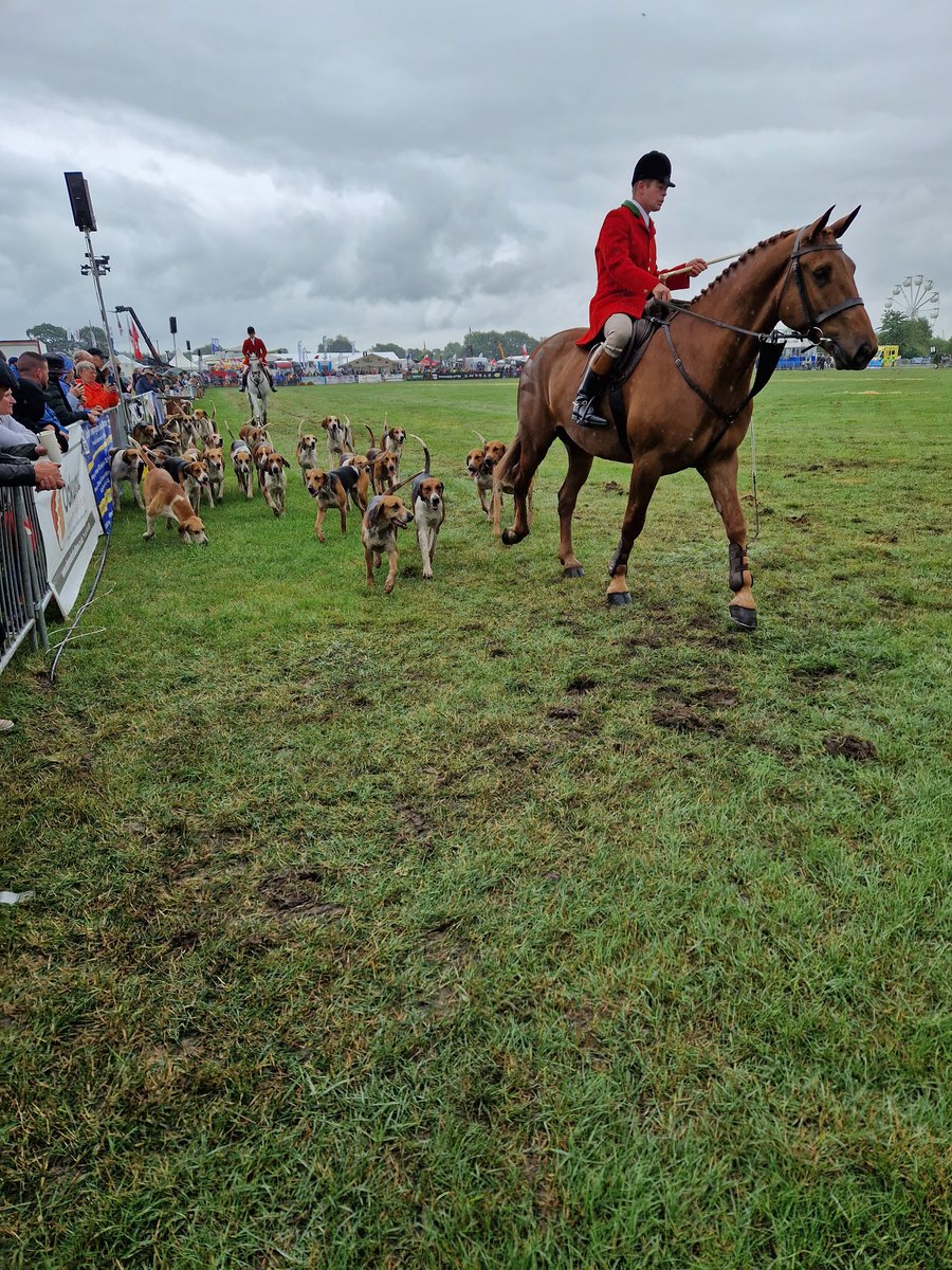 eddley13's tweet image. Lovely day at the #cheshireshow
