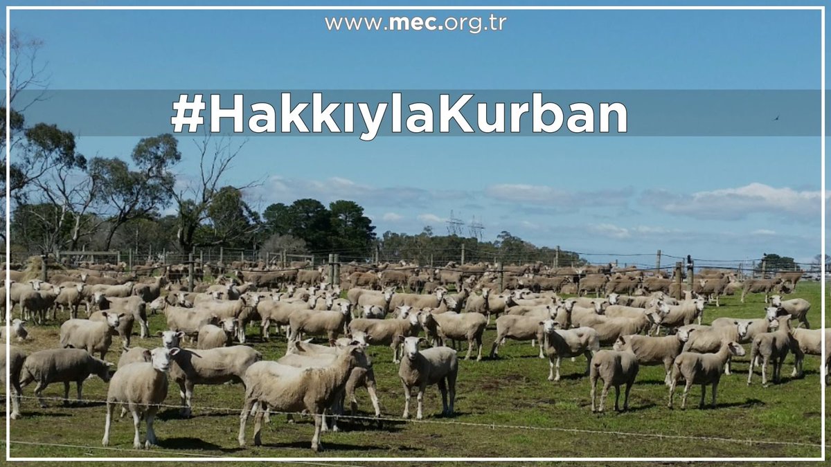 MEC 18.kurban organizasyonu