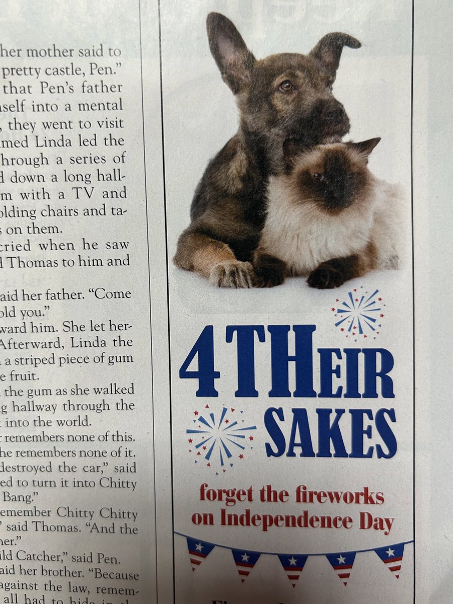 ❤️ Harper’s ads ❤️