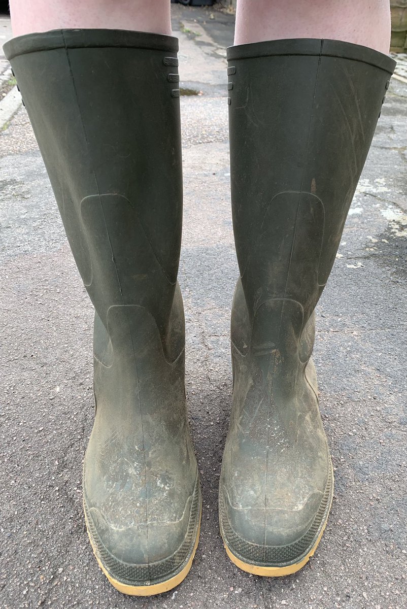 gem_barron's tweet photo. I wore my wellies to work today (yes, I know lots of you probably do that regularly, but I work in an office in a community building).  As well as looking daft, it was incredibly hot…!

https://t.co/xw82aEm0aY https://t.co/TpGcXHMScA