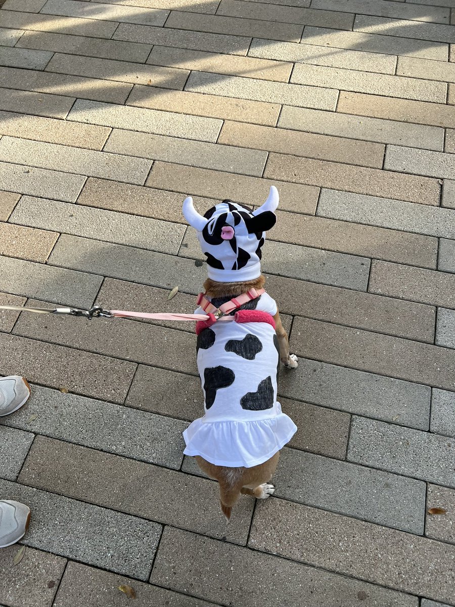 Morgan C tweet media