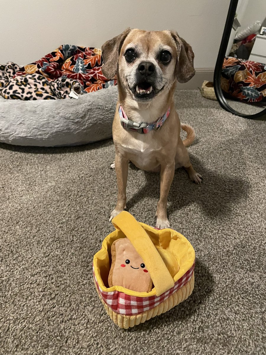 Morgan C tweet media