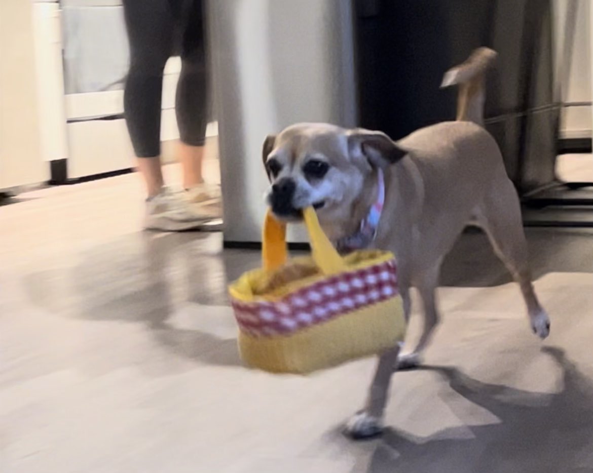 Morgan C tweet media