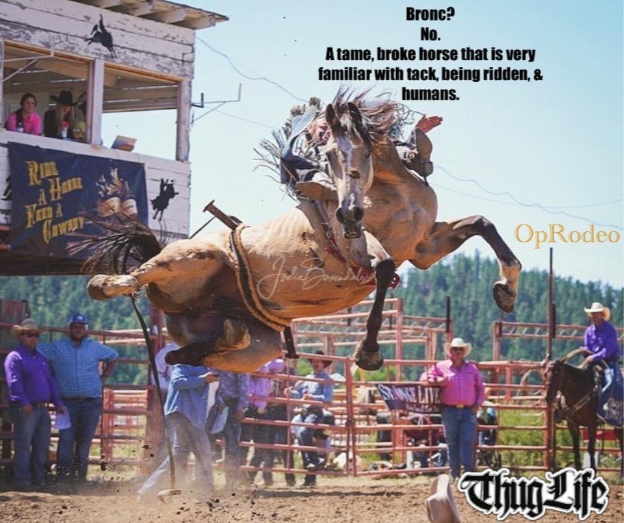 _JaneDoe13's tweet photo. Rodeo is reliant upon deception 
Bronc busting eludes to a wild horse a rider hangs onto in hopes of breaking/staying on
Bronc busting is a milksop sits on an abused, terrified, electroshocked, bound in a bucking strap tame horse that once released tries to escape pain

#OpRodeo https://t.co/RmXKOsFBF5