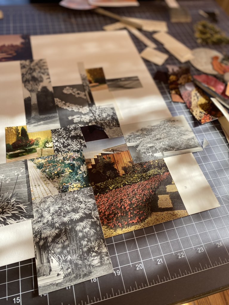 Joce Aucoin tweet media