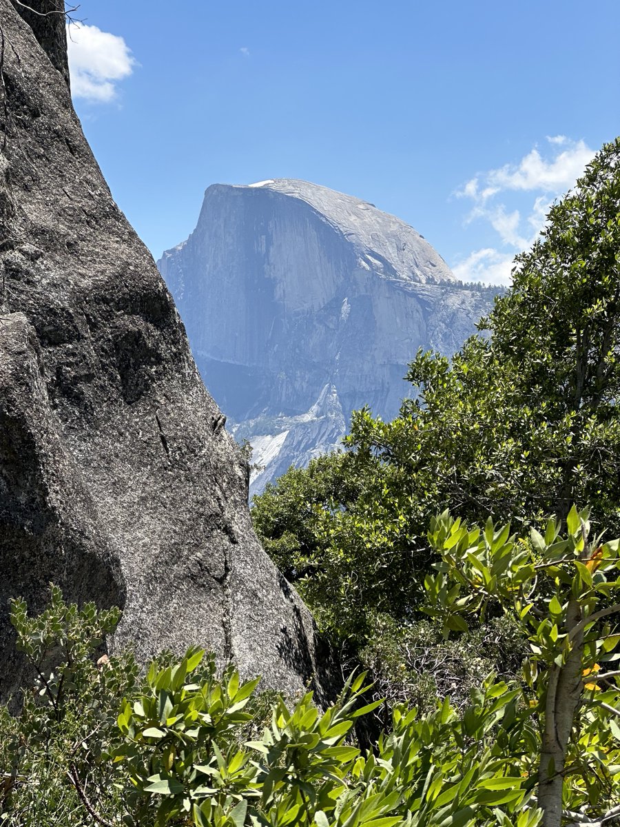 YMCASiliconValley tweet media