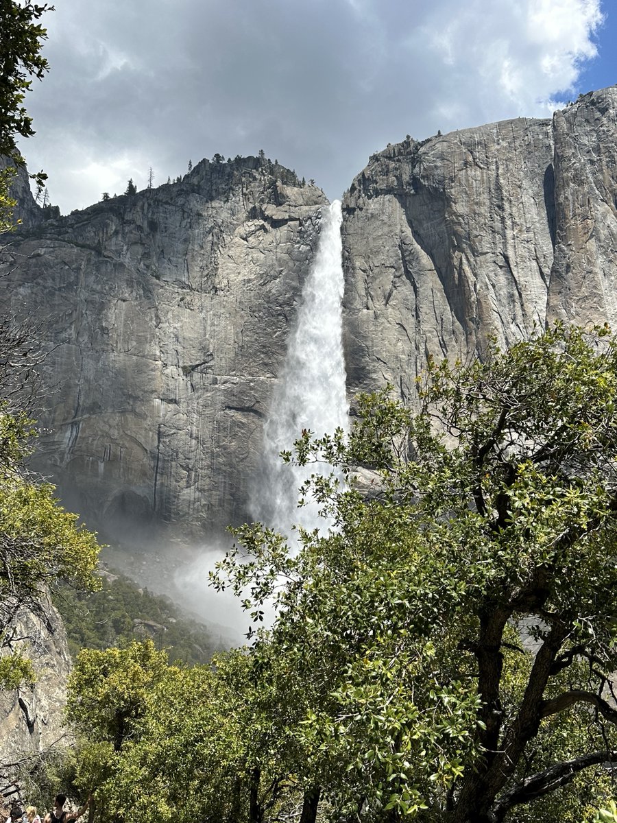 Thank you to the 57 amazing participants on our Yosemite trip this past Saturday, June 17. We offered two different hikes with beautiful sunny skies. Seeing the heavily flowing waterfalls and Half Dome and El Capitan up close were absolute highlights.