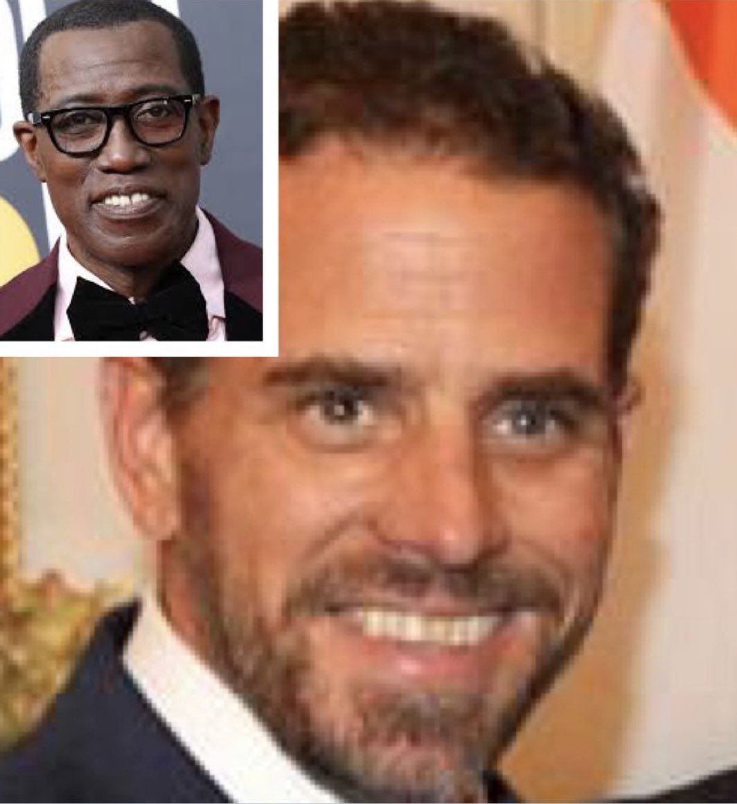 To @wesleysnipes, see how the @FBI, @IRSnews and the @TheJusticeDept will treat you if you are a liberal white democrat vs a Black man for the same charges?  They gave corrupt crack head Hunter probation and you prison for the same damn thing. They are also treating…