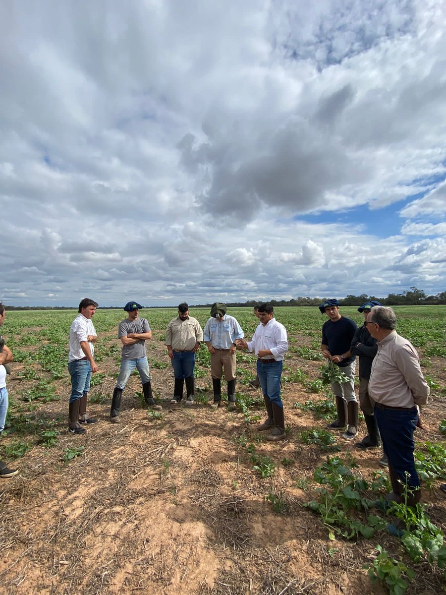 RodrigoBosch1's tweet photo. Día 2 gira Crea Cor por Paraguay. Empresa Palmeiras. Al norte de Mariscal. Gracias por compartir su experiencia @crea_cor https://t.co/X8kbyQ8xPP