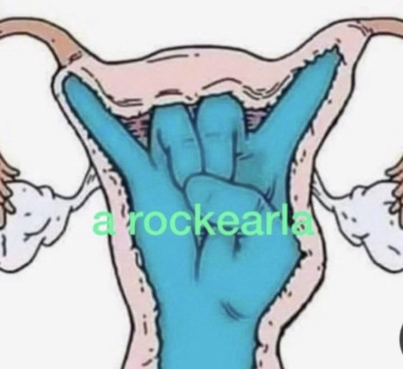 🐍🖤 tweet media