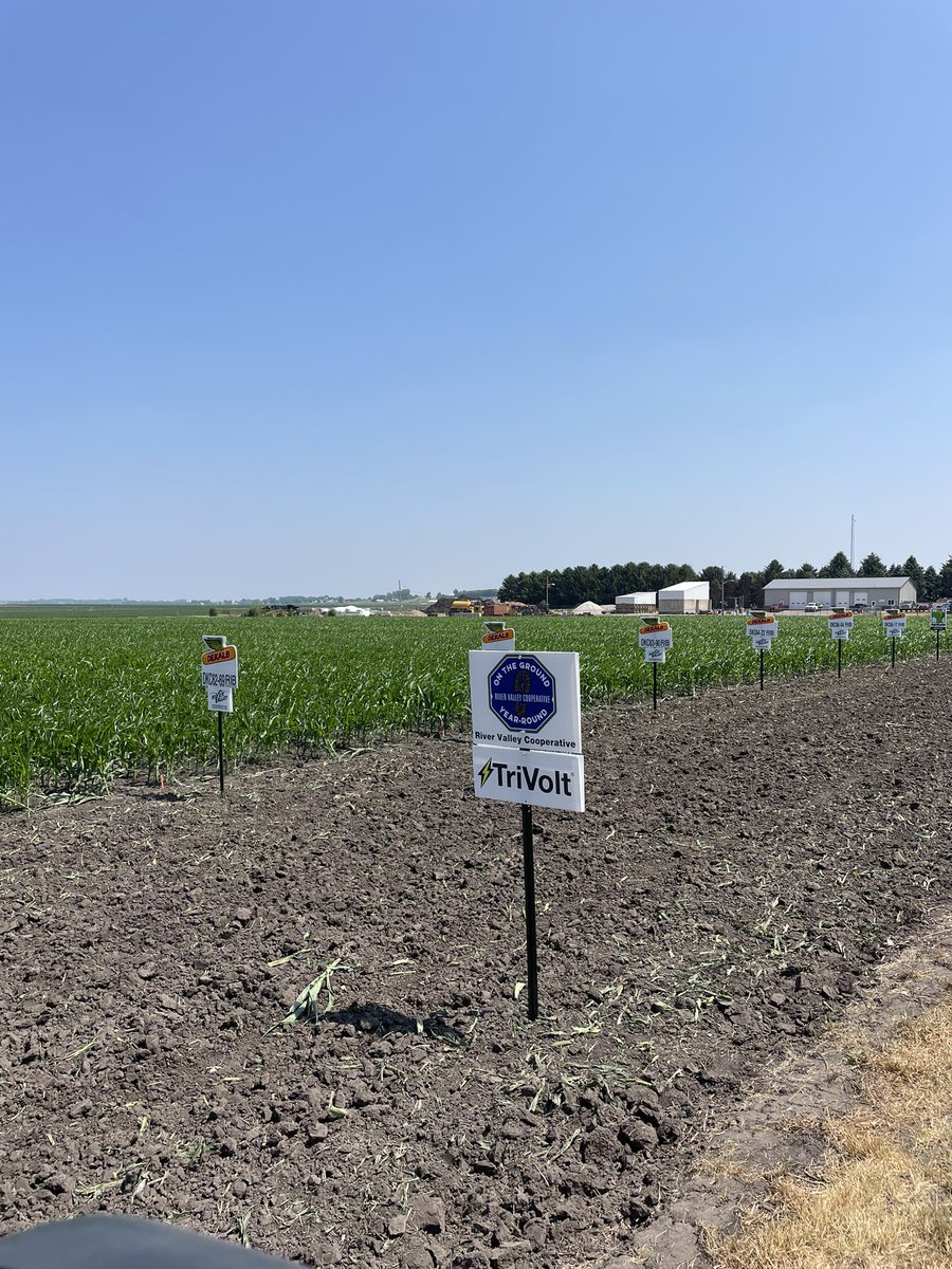 rvcinterns's tweet image. We did some work on the plot today!!
Got our seed signs up!! Thank you to the Osco interns for the help
#Trivolt #biopath #rvcinterns 
-CM