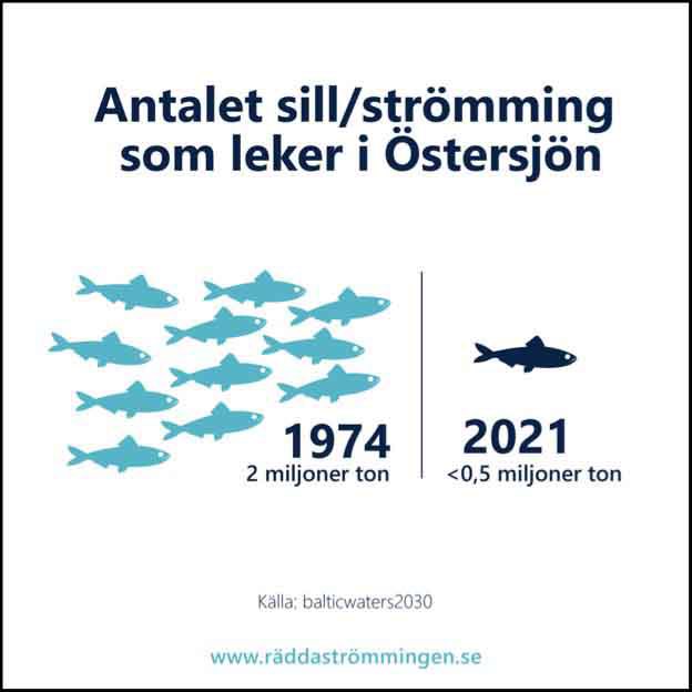 essansson's tweet photo. @Fredrik21990566 @armvecksherpes @hanifbali https://t.co/W24a3lIKTf