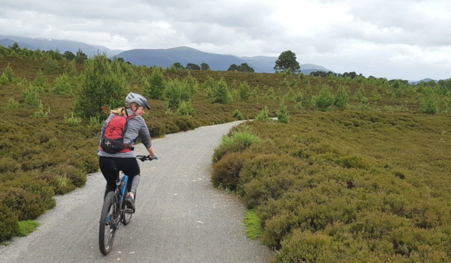 Arc Guiding tweet media