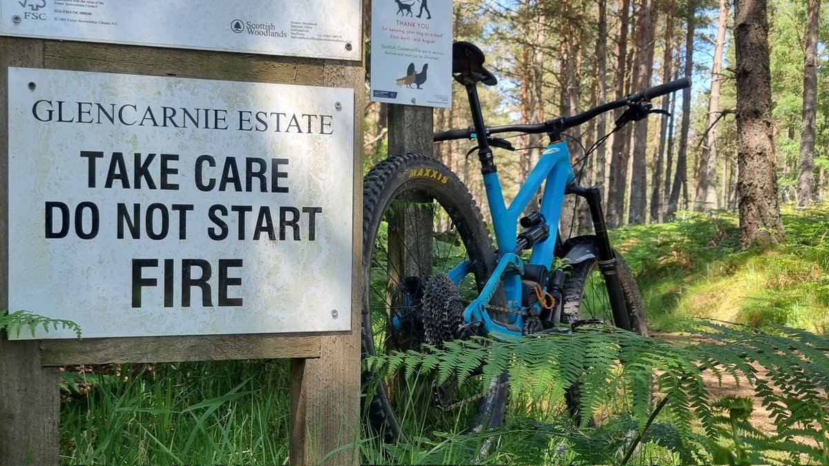 Arc Guiding tweet media