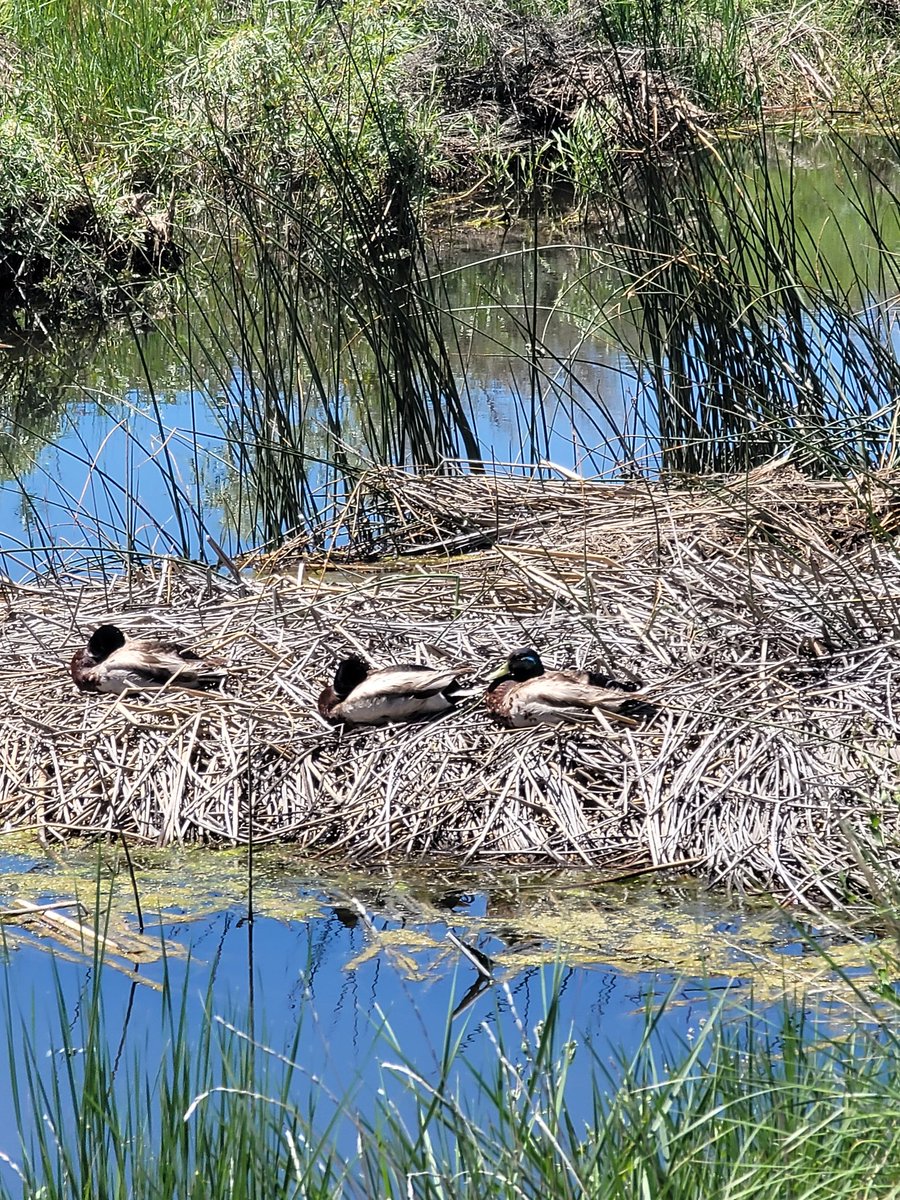 Rachmtbs (@rachmtbs) on Twitter photo 