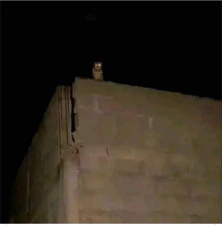 Estava a brincar😭 peço dormir