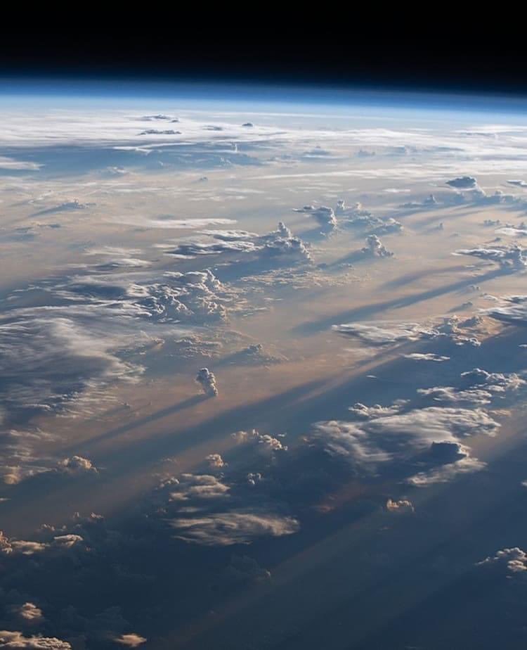 Domenico tweet media