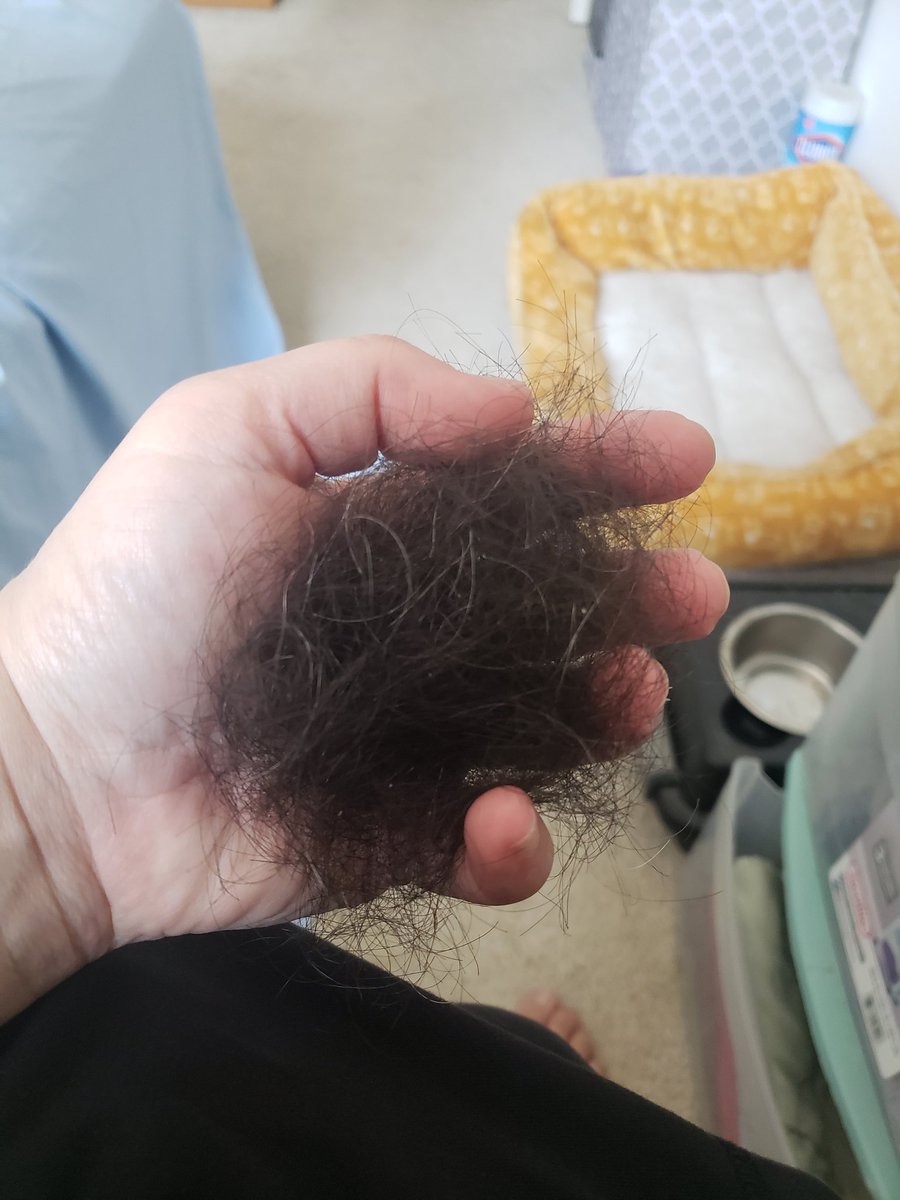 MaddysHoG's tweet photo. Arguing with stupid people has caused my hair to fall out.
#chemohumor https://t.co/MM06yUWsIz