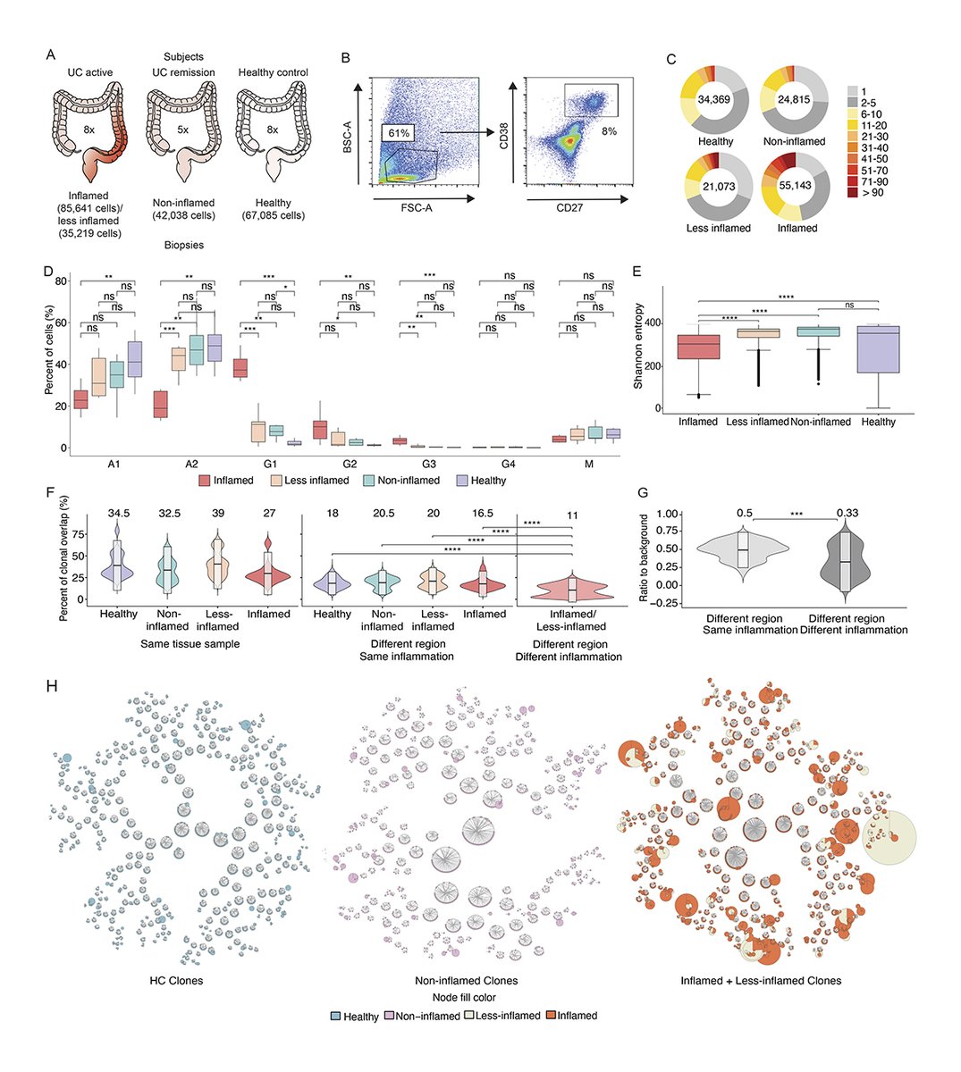 JExpMed's tweet photo. Scheid, @TheXavierLab et al characterize the #microbiome-specific colon plasma cell response &amp; how its disruption might contribute to #inflammation in ulcerative #colitis. https://t.co/Jqfo5i5nHN
Featured in our Clinical #Immunology Collection: https://t.co/UU7Tab4jQ2
#FOCIS2023 https://t.co/ZnXSnEyqBb