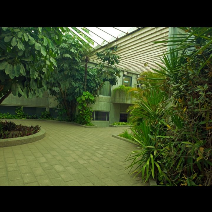 Hace falta sacar la cámara al centro