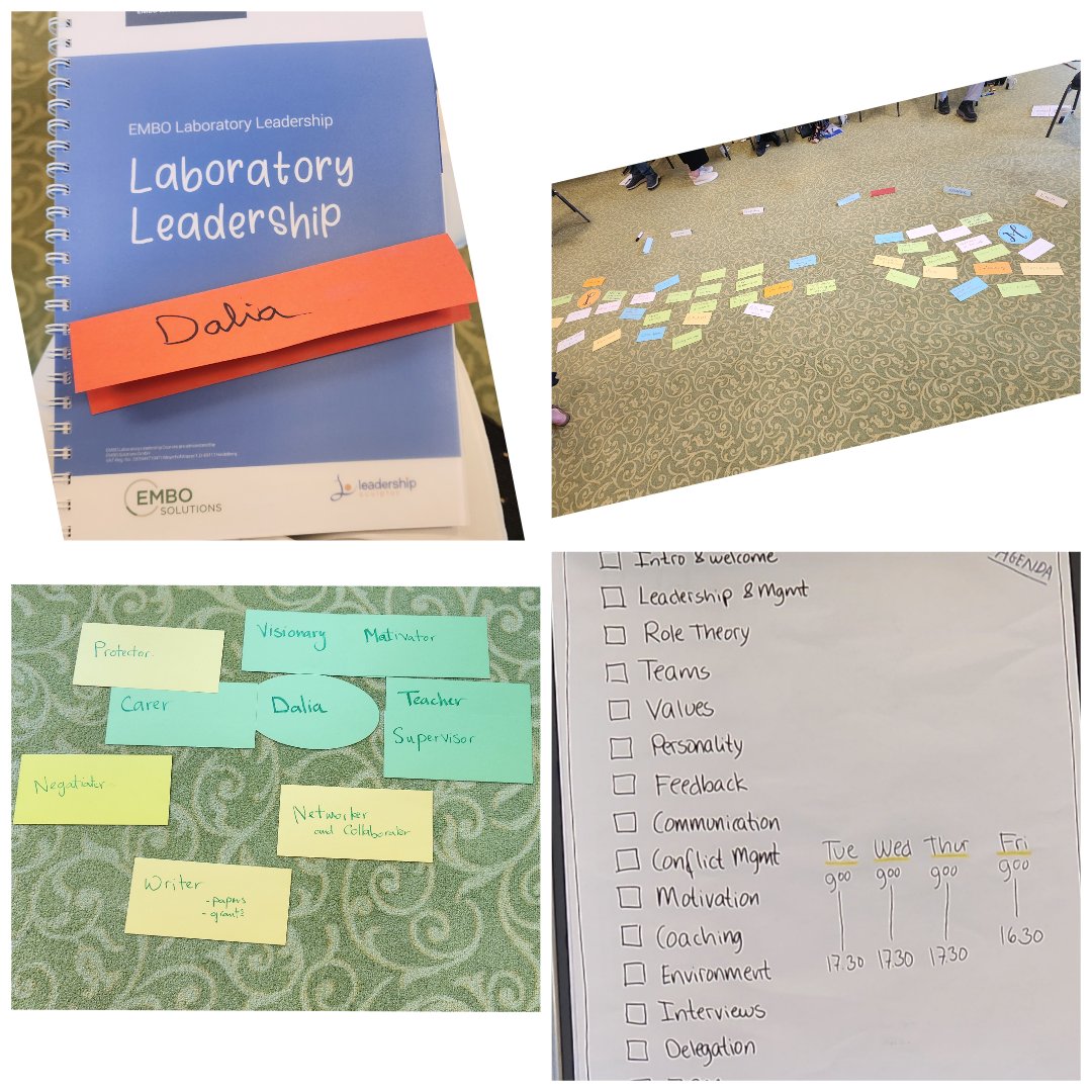 Dalia Ali🇯🇴🇸🇦 (@dalialadyd) on Twitter photo Day 1 EMBO Laboratory Leadership workshop. It's motivational, exceptional, and inspiring.
More to come 🙏🙏🙏
#EMBOlablead
<a href="/LifeSciLearn/">EMBO Lab Leadership</a>
<a href="/LeadSculpt/">Leadership Sculptor GmbH</a>
<a href="/CelineCarret/">CARRET</a>
@MetteHL
@KMEBLab
<a href="/RauchLabSDU/">Rauch_Lab_SDU</a> Day 1 EMBO Laboratory Leadership workshop. It's motivational, exceptional, and inspiring.
More to come 🙏🙏🙏
#EMBOlablead
<a href="/LifeSciLearn/">EMBO Lab Leadership</a>
<a href="/LeadSculpt/">Leadership Sculptor GmbH</a>
<a href="/CelineCarret/">CARRET</a>
@MetteHL
@KMEBLab
<a href="/RauchLabSDU/">Rauch_Lab_SDU</a>