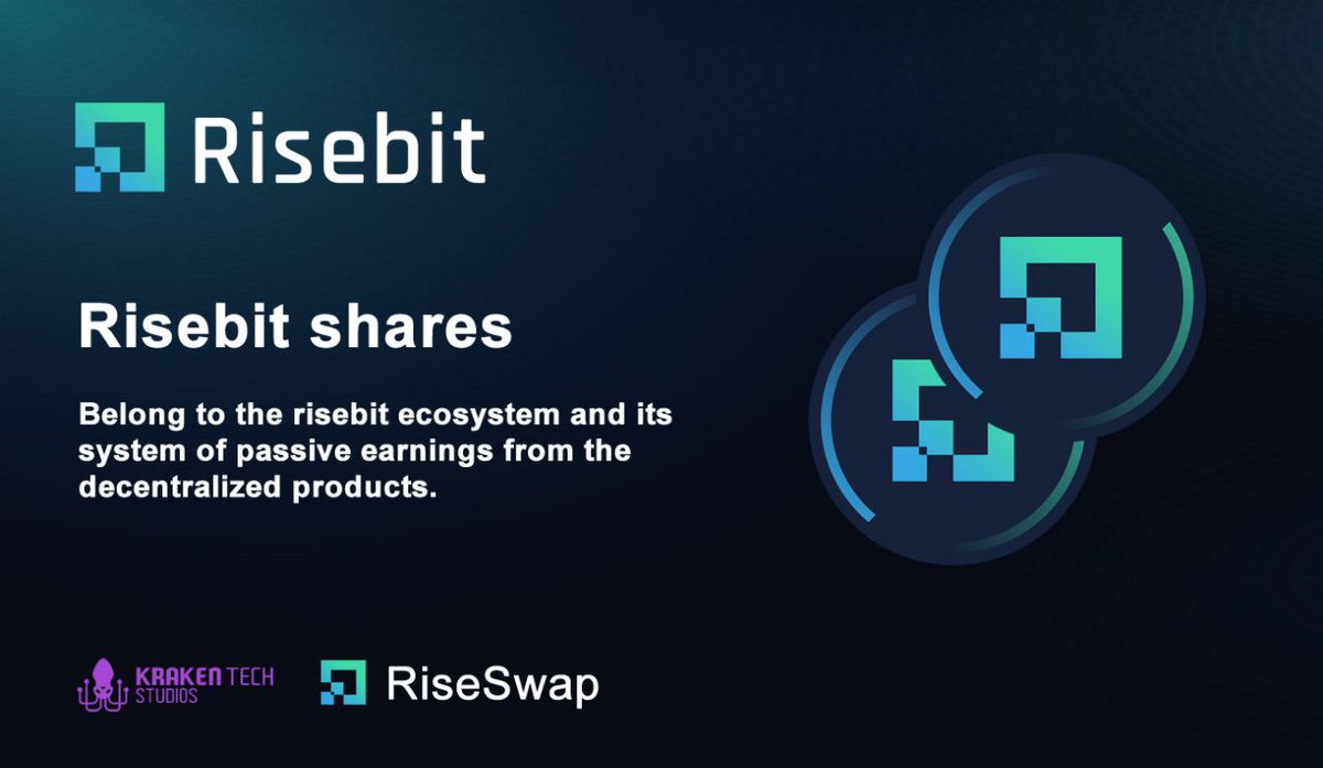 Risebit Platform investment tweet media