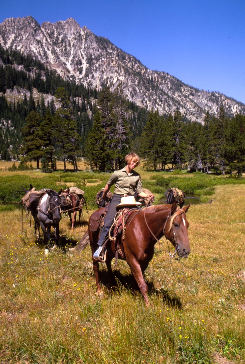 Forest Service NW (@forestservicenw) on Twitter photo From the archives: This appears to be a photograph of the first female packer in the Forest Service, on the <a href="/WallowaWhitman/">Wallowa-Whitman National Forest</a>! The archives unfortunately do not include her name, but we will start digging! From the archives: This appears to be a photograph of the first female packer in the Forest Service, on the <a href="/WallowaWhitman/">Wallowa-Whitman National Forest</a>! The archives unfortunately do not include her name, but we will start digging!
