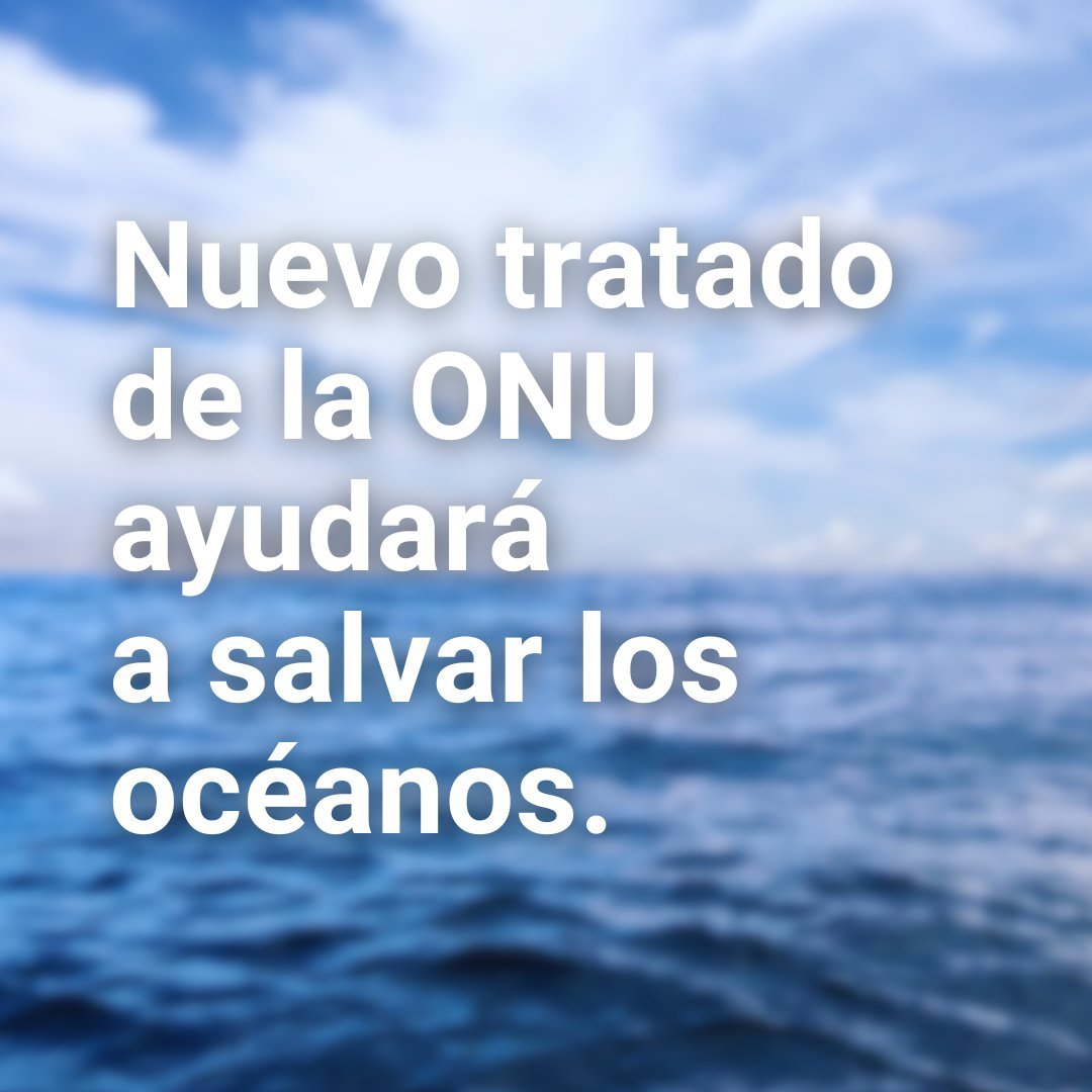 CICTMAR's tweet photo. #20Jun @ONU_es La ONU acaba de adoptar un acuerdo histórico destinado a la conservación de la biodiversidad marina en aguas internacionales. Conoce los beneficios del acuerdo: https://t.co/hFXDwFspJq #StopSeabedMining https://t.co/xoB2tXoXaD
