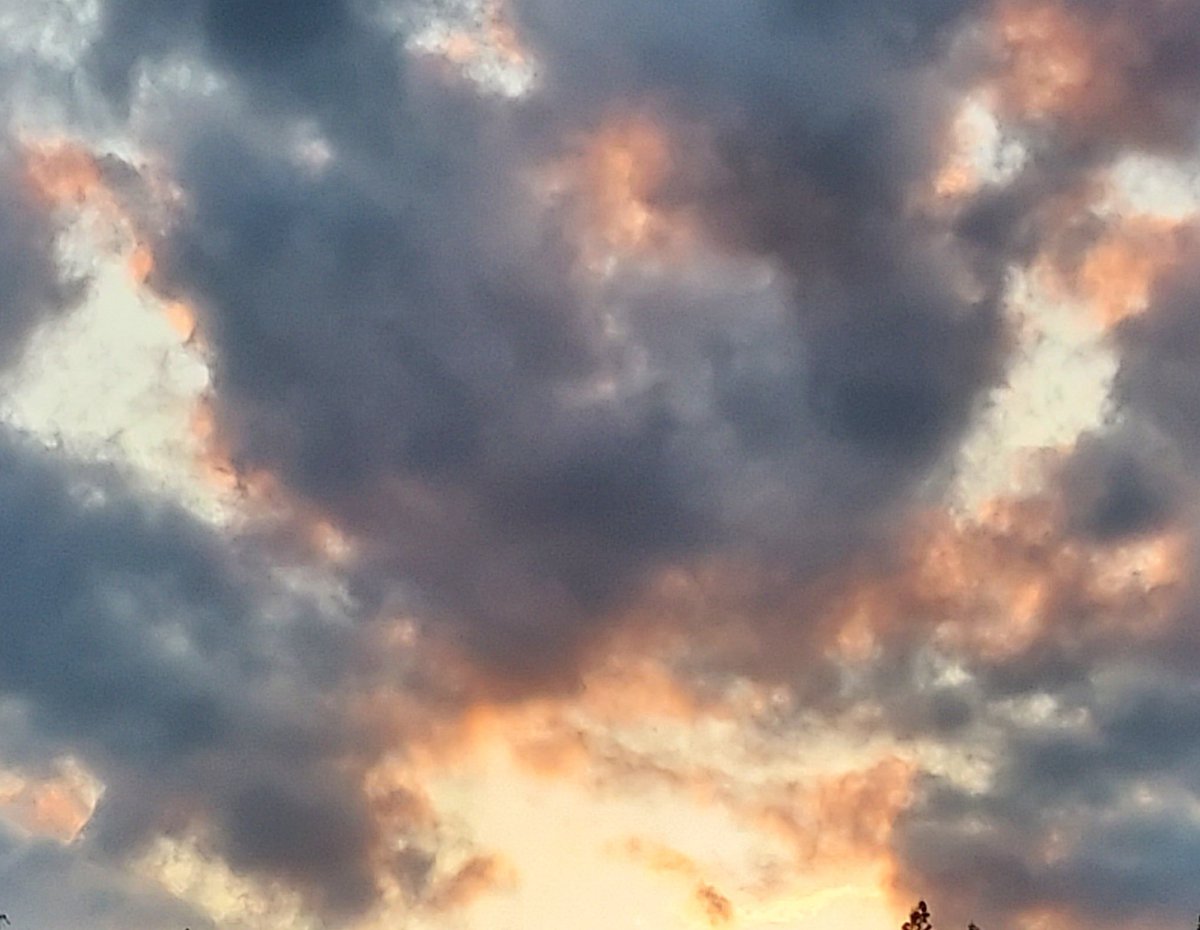 LaceSteph's tweet image. #GoodbyeSpring #LastDayOfSpring 😢