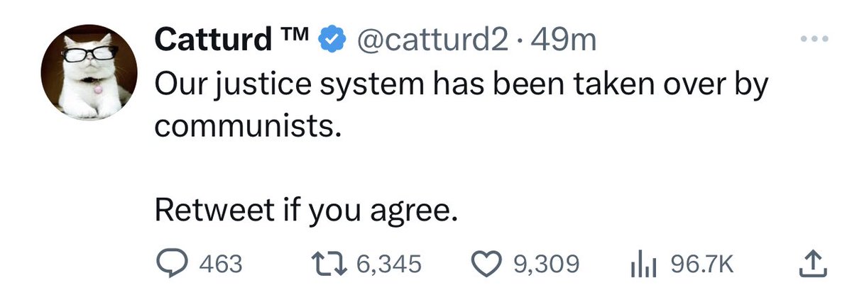 There is no way Catturd only has 96.7K views in 49 minutes with 6,345 Retweets but cooking videos with 300 Retweets are getting over 121K views in 50 minutes.