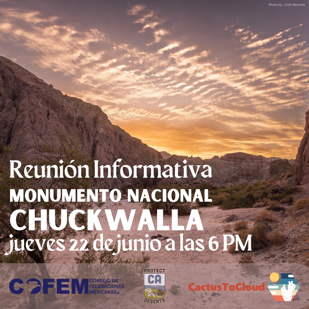 CactusToCloud's tweet photo. Seremos co-anfitriones de un segundo tour virtual del propuesto Monumento Nacional Chuckwalla con @COFEM este jueves a las 6PM
Visite https://t.co/Htuc9J2TEJ para registrarse.
#30x30CA #ProtectCaDeserts https://t.co/isyjwiG8TW