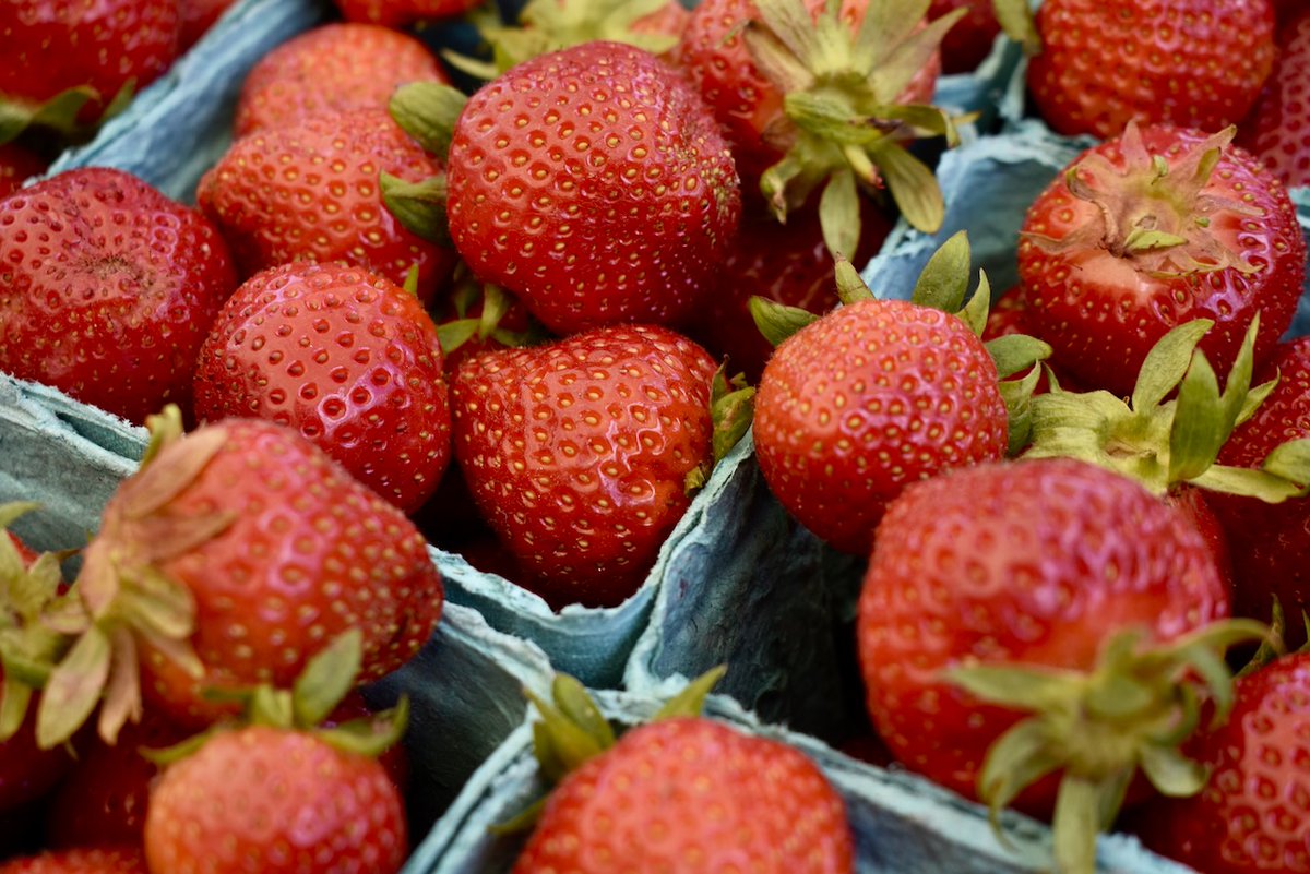 Belmont Farmers Mkt tweet media