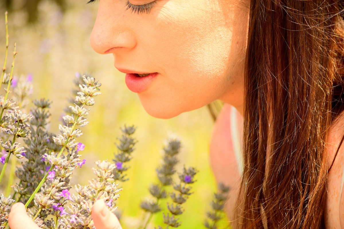 EssentialOilDad's tweet photo. How Does Scent Affect Mood? #EssentialOils #LiveWell #bergamot #essentialoils #lavender  https://t.co/30EimK6Kbk https://t.co/a6yivIoqTq