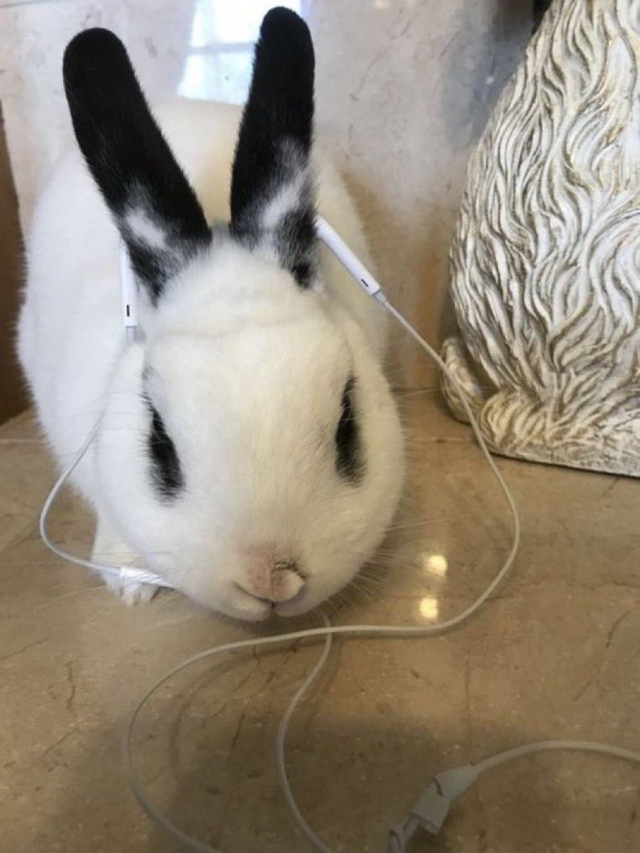 what is she listening to