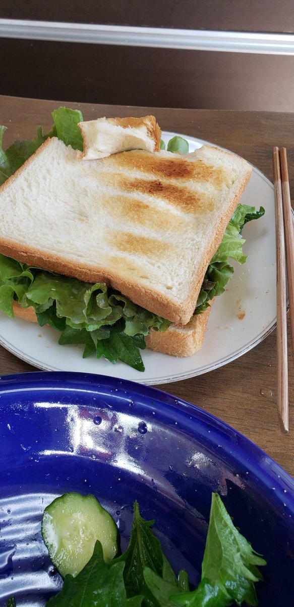 おはようございます。父ちゃんの朝ご飯です。ももは、父ちゃんのパンをほんの少しだけ貰えます。それが楽しみです。