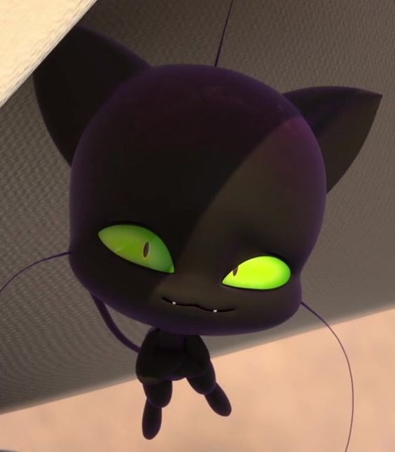 Hola su gatito favorito volvió 
Me ayudan dando RT para llegar a más personas 
Si me ayudas te voy a dar un poco de mi Queso 🧀😋