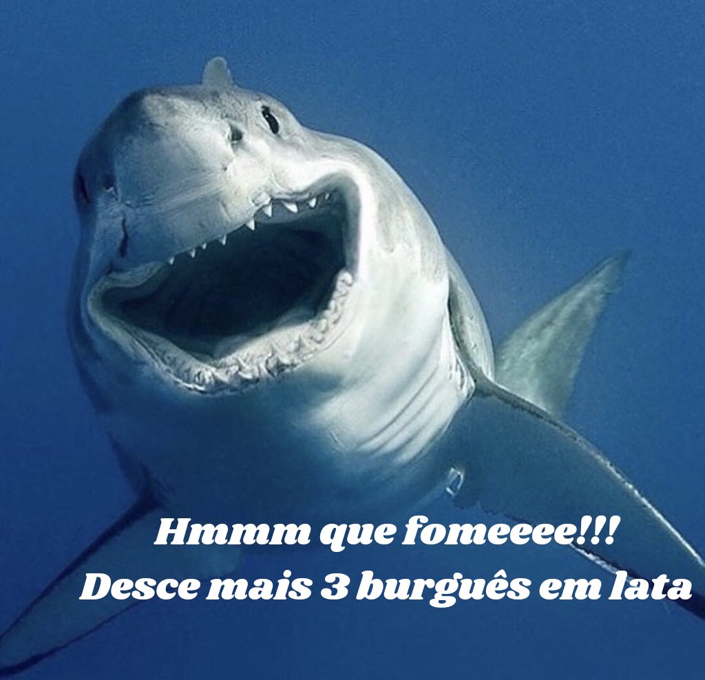 gustavopedrobr's tweet photo. eat the rich https://t.co/72uwSTIhMR