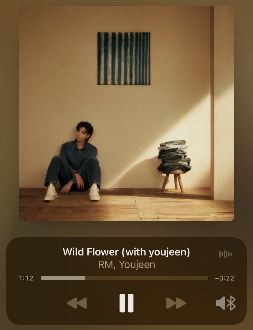 I can’t explain how I feel when I listen to this song but it’s an amazing feeling, like namjoon did what he had to do with wildflower.