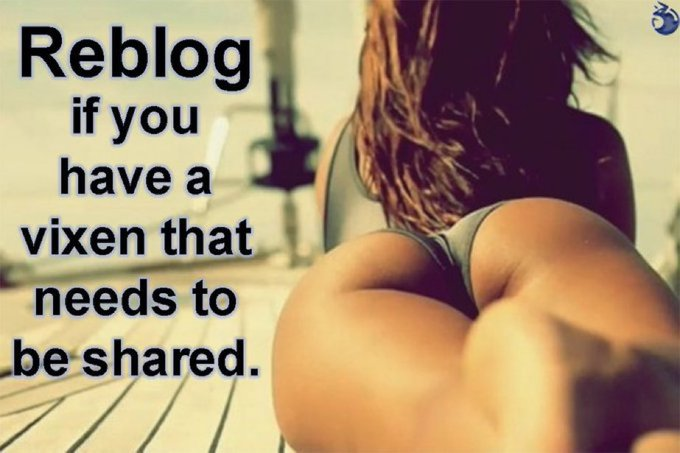 vxn_lifestyle's tweet photo. https://t.co/L0JSDrDuaT