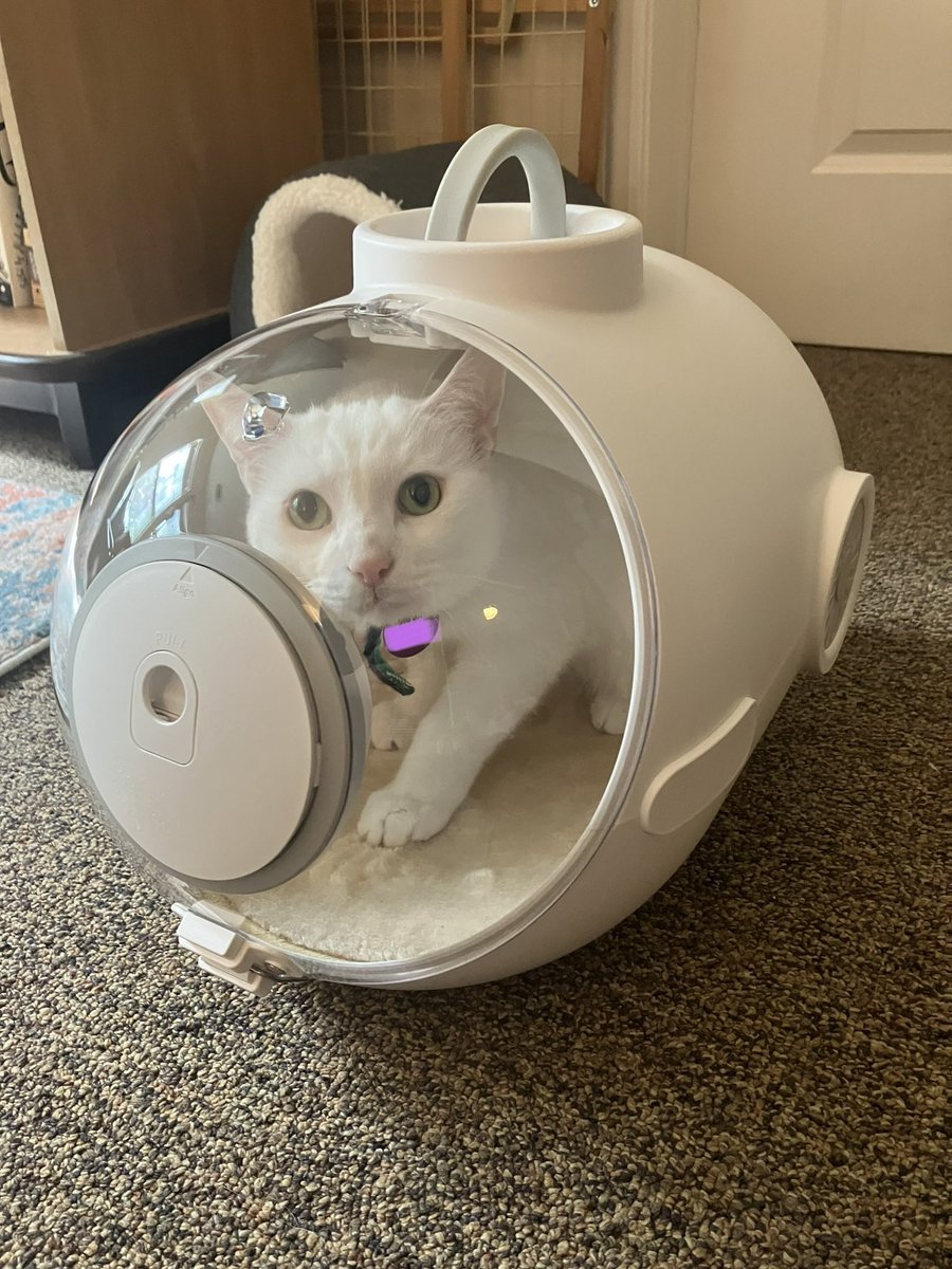 kowloon route 1 resident DJ 📟 on Twitter "RT picklegoblin so maney