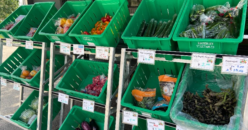 cityofcalgary's tweet photo. Romaine calm, farm stands are now running and will operate weekly in communities near you until Thanksgiving! 🥬
Stop by, meet your farmer, and bring home some fresh ingredients to spice up your dinner!
Visit https://t.co/tsXjghHuBM for more info &amp; the weekly schedule for stands.