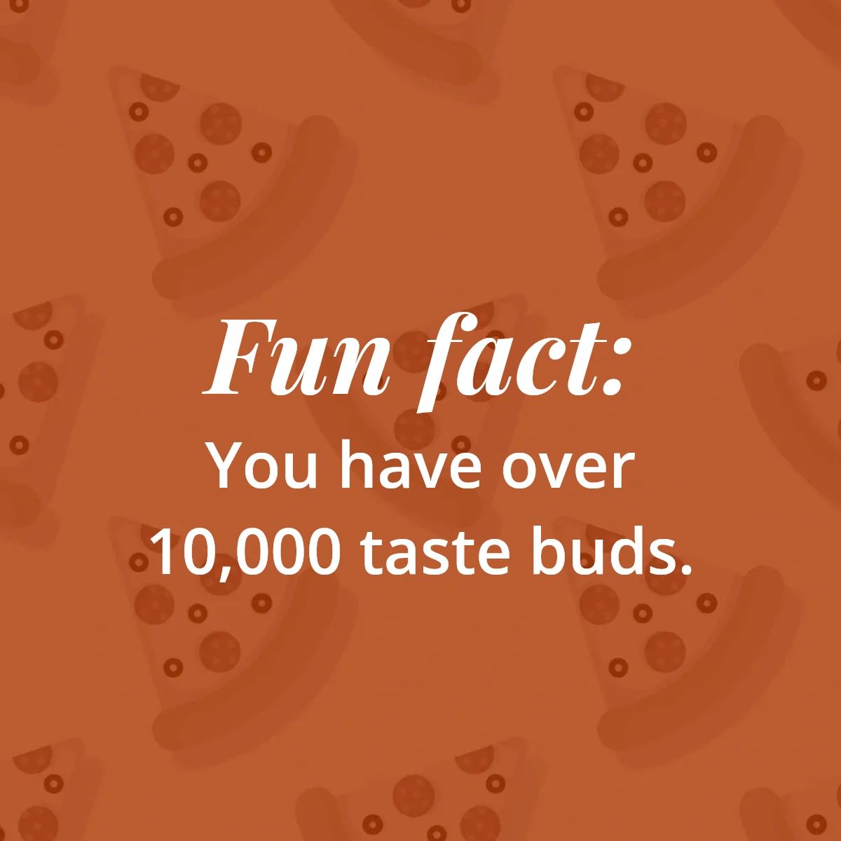 Grand Street Pizza tweet media