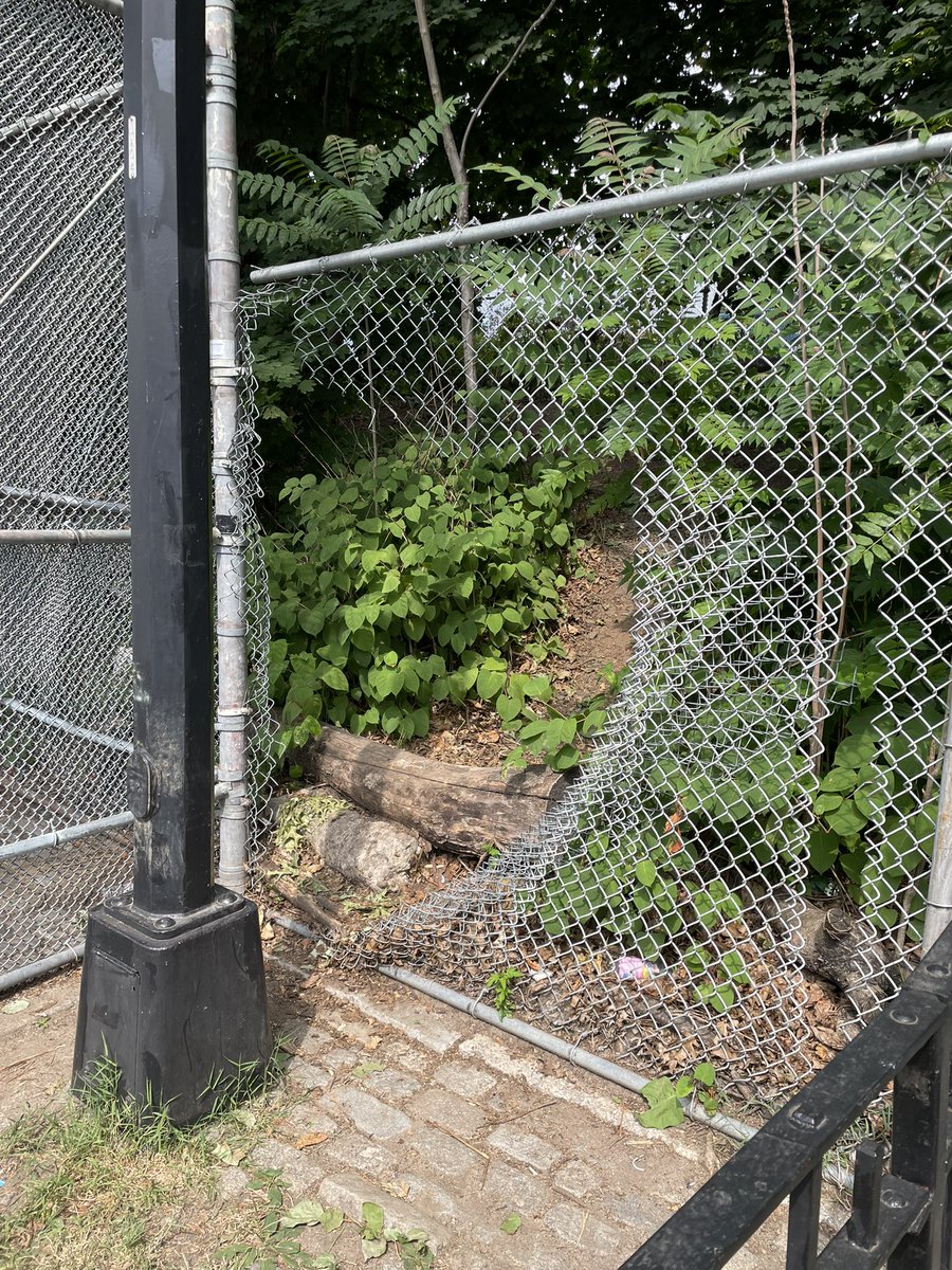 Morgan Price tweet media