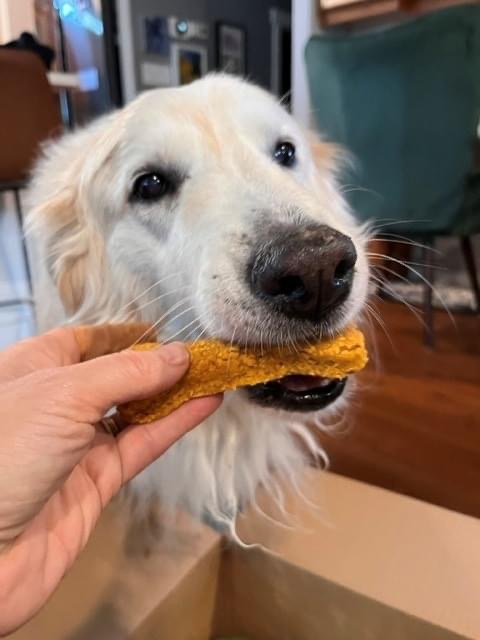 Kali's Wish (@kalis_wish) on Twitter photo 📣Calling out <a href="/chefLiana/">Liana Robberecht</a> for her amazing cookies!🐾 Our furry friends can't get enough of these homemade treats. Thanks for making their tails wag with delight! 🐩
#CookieMagic #PupDelight #PetCancer #PetHealth #Support #Dogs 📣Calling out <a href="/chefLiana/">Liana Robberecht</a> for her amazing cookies!🐾 Our furry friends can't get enough of these homemade treats. Thanks for making their tails wag with delight! 🐩
#CookieMagic #PupDelight #PetCancer #PetHealth #Support #Dogs