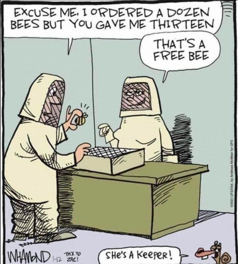 DTSTechnology_'s tweet image. Who doesn’t like a good Freebee? 😁🐝#DTSTechnology is offering a #FREE #Android11 tablet, PLUS a free Atel Arch W01 Jetpack #Hotspot w/a qualifying Business Internet Plan. 📱📶 We’re ready and BUZZING with excitement! Contact 1.800.803.1535 or sales@dtstechnology.com!
#Verizon