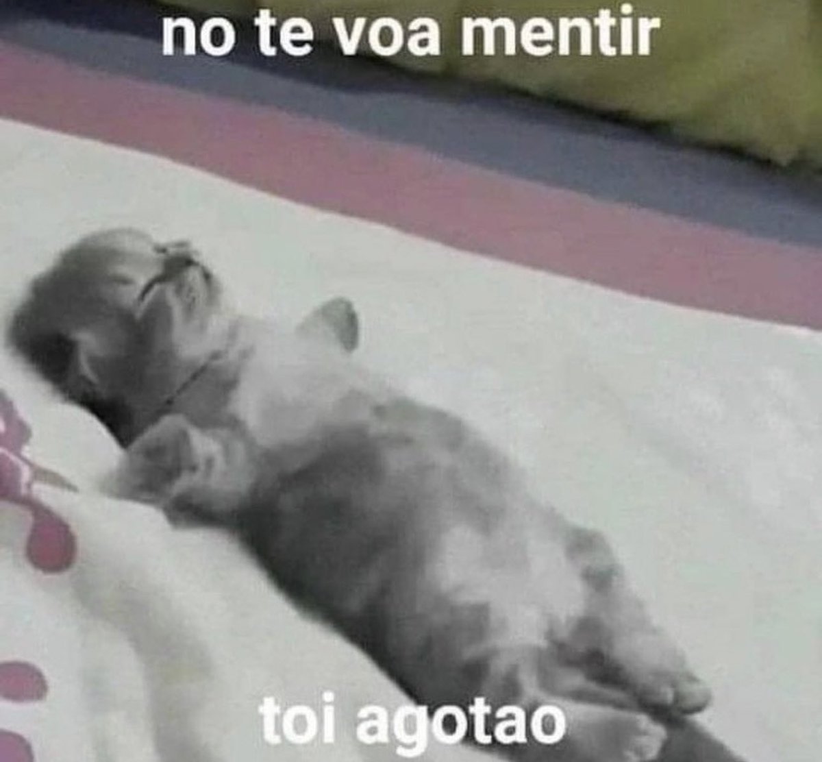 skereunpesado's tweet photo. https://t.co/h45egI42Hs